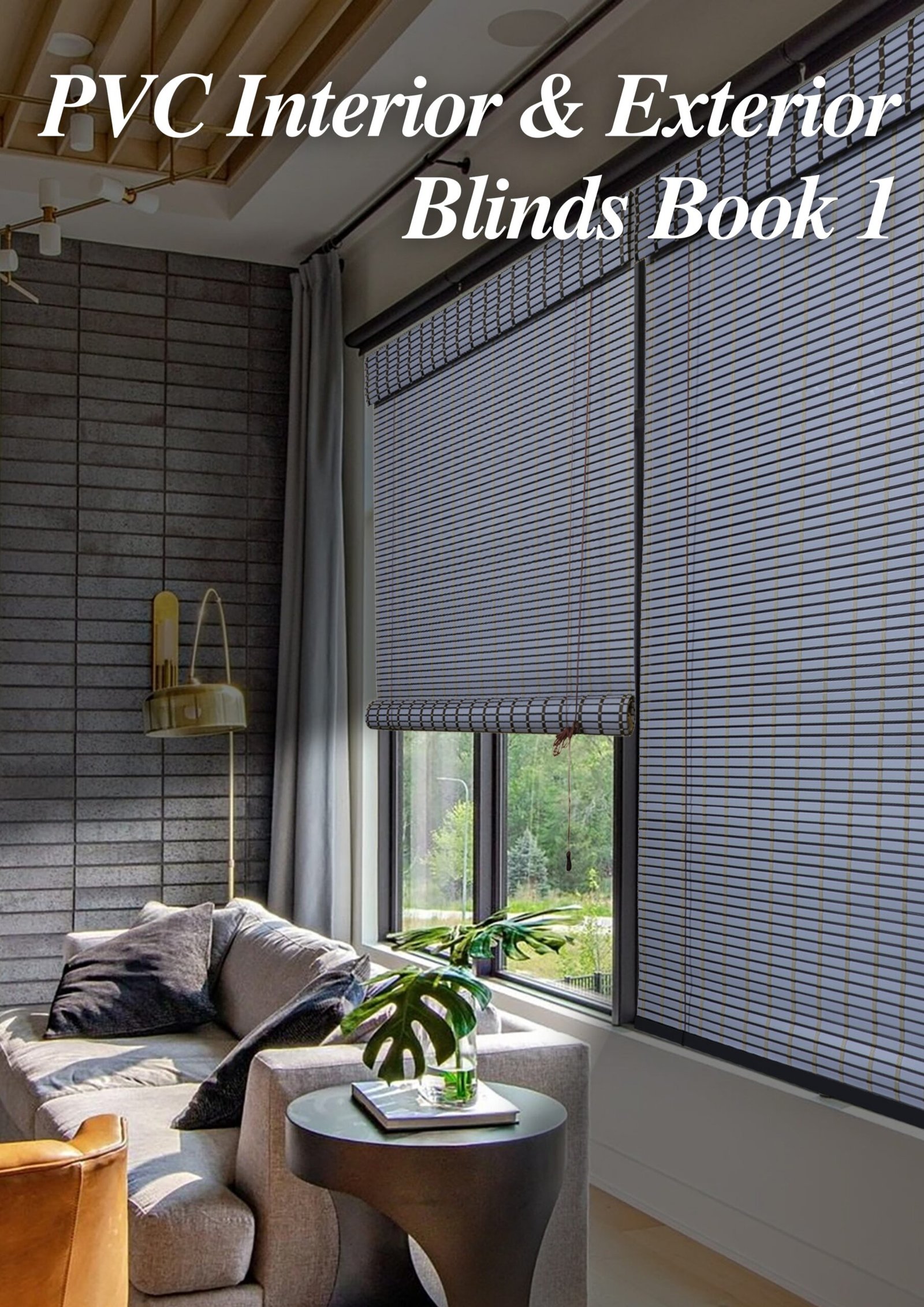 Home 4 PVC Blinds